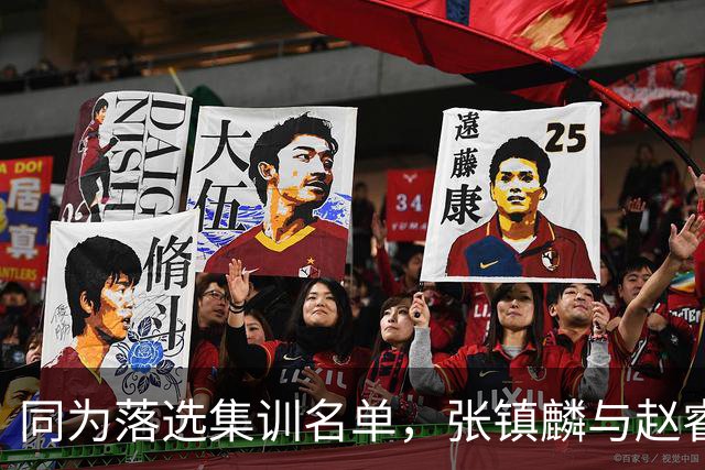 同为落选集训名单，张镇麟与赵睿的境遇差异何在？
